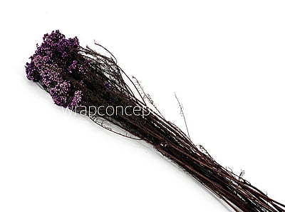 Preserved Rice Flower Preserved Rice Flower