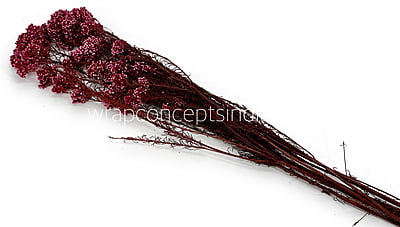 Preserved Rice Flower Preserved Rice Flower