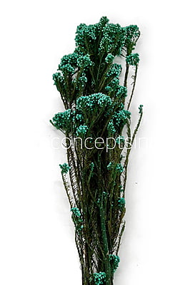 Preserved Rice Flower Preserved Rice Flower