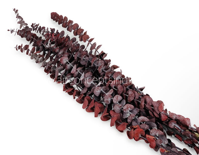 Natural Preserved Eucalyptus Bunch Natural Preserved Eucalyptus Bunch