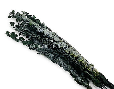 Natural Preserved Eucalyptus Bunch Natural Preserved Eucalyptus Bunch
