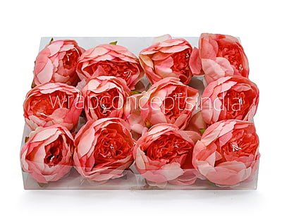 Peony - Coral Peony - Coral
