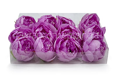 Peony - Mauve