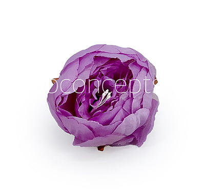 Peony - Mauve