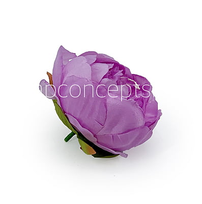 Peony - Mauve