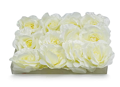 Buttermilk Rose Flower Buttermilk Rose Flower