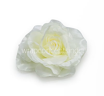 Buttermilk Rose Flower Buttermilk Rose Flower