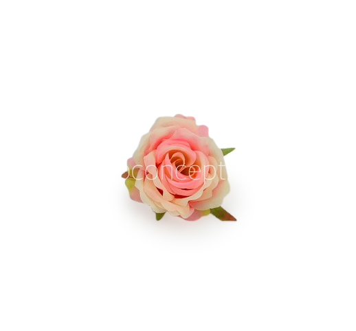 Rose Small - Peach with hints of Pink Rose Small - Peach with hints of Pink