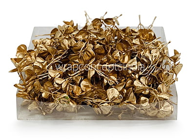 Gold Eucalyptus Leaves Gold Eucalyptus Leaves