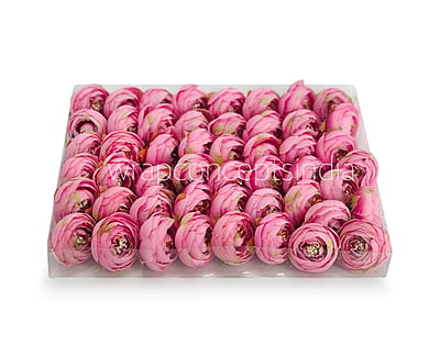 Small Peony-Pink