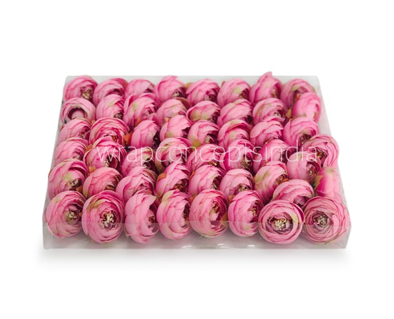 Small Peony-Pink
