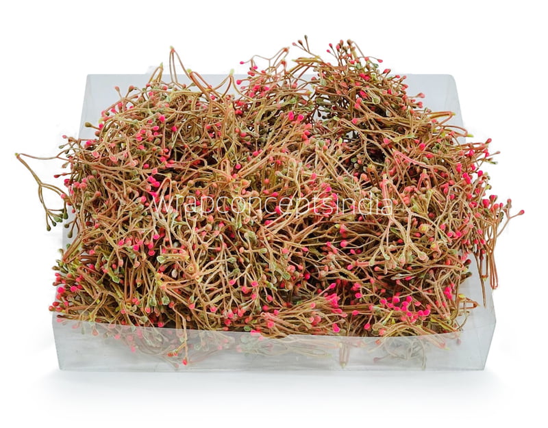 Pink Baby Breath Leaves Pink Baby Breath Leaves