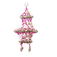 Sea Snail Jummer B