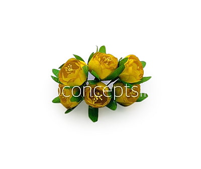 Mango Yellow Peonies on stick with Pollen