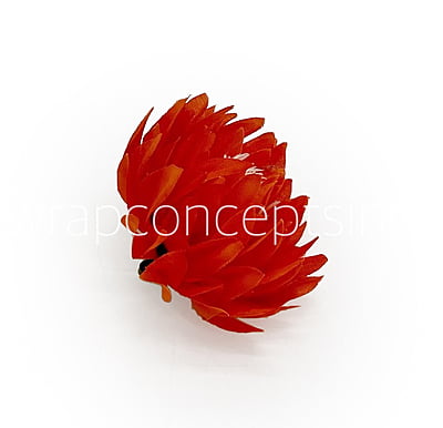 Orange Red Water Lily
