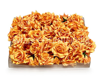 Sunshine Yellow with hints of Orange Sunshine Yellow with hints of Orange