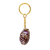 Sea Shell Key Chain Holder