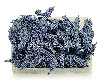 Mauve Fir Leaves