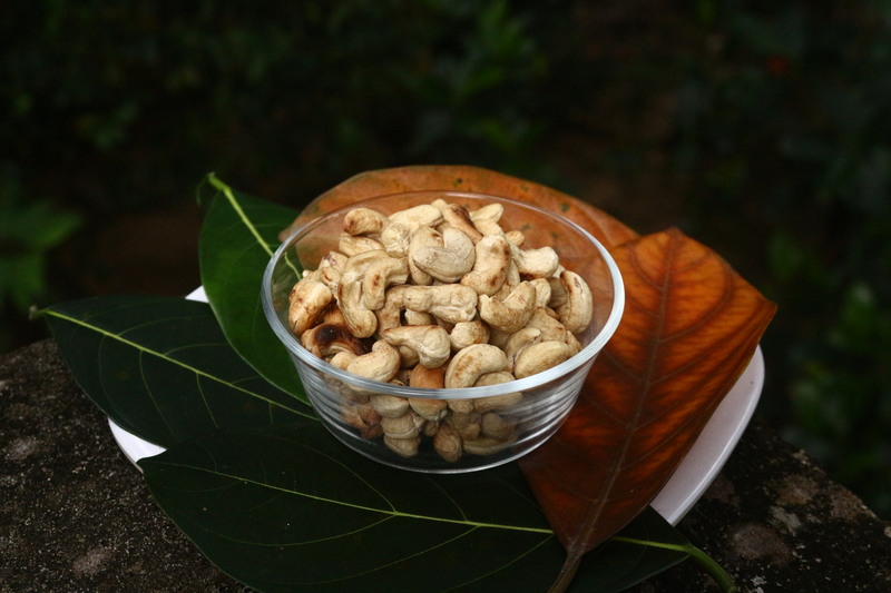 CASHEW NUTS CASHEW NUTS
