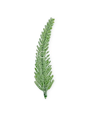Light Green Fir Leaves Light Green Fir Leaves