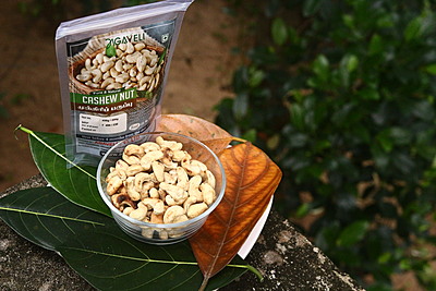 CASHEW NUTS CASHEW NUTS