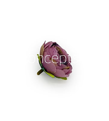 Persian Pink with hints of Purple Peonies