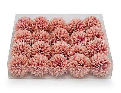 Carnation - Flamingo Carnation - Flamingo
