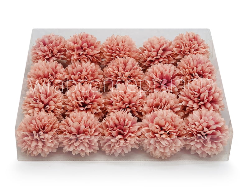 Carnation - Flamingo Carnation - Flamingo