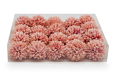 Carnation - Flamingo Carnation - Flamingo