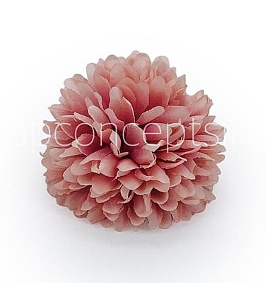 Carnation - Flamingo Carnation - Flamingo