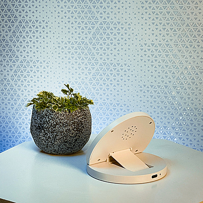 Wireless Charger "Bolt" with Mobile Stand and Bamboo Top Wireless Charger "Bolt" with Mobile Stand and Bamboo Top