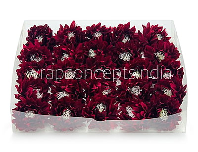 Maroon Water Lily