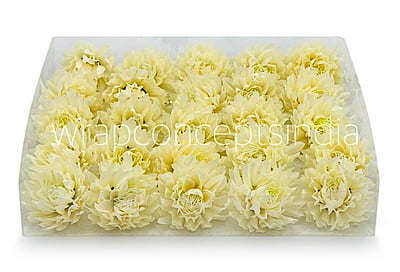 Ivory Water Lily