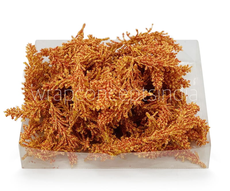 Yellow Orange Sugar Pine Leaves