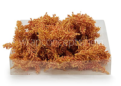 Yellow Orange Sugar Pine Leaves