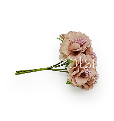 Light Salmon Windflower