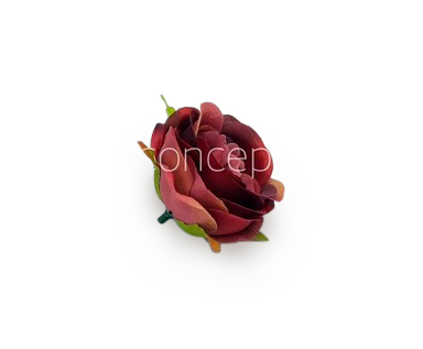 Camellia Flower - Burgundy with hints of Pink & Red Camellia Flower - Burgundy with hints of Pink & Red