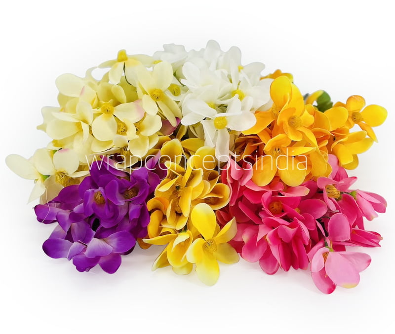 Bougainvillea Flower Bunch Bougainvillea Flower Bunch