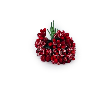 Red Pollens Red Pollens