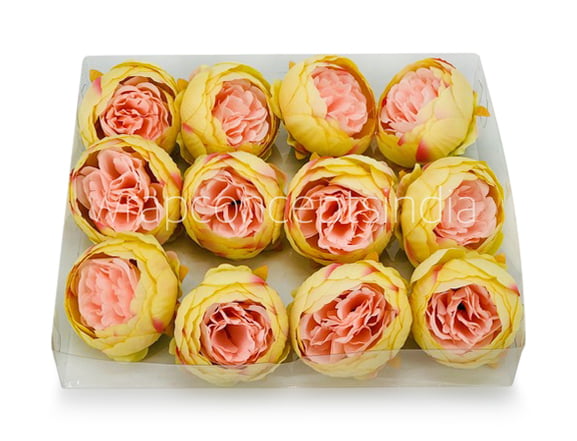 Peony - Lemon with hints of Peach Peony - Lemon with hints of Peach