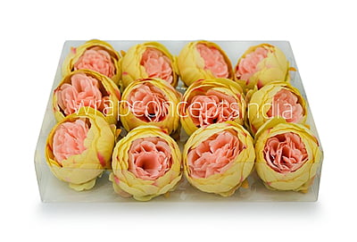 Peony - Lemon with hints of Peach Peony - Lemon with hints of Peach