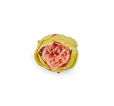 Peony - Lemon with hints of Peach Peony - Lemon with hints of Peach