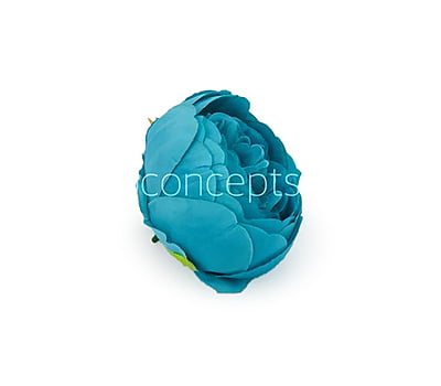Peony-Turquoise Blue Peony Peony-Turquoise Blue Peony