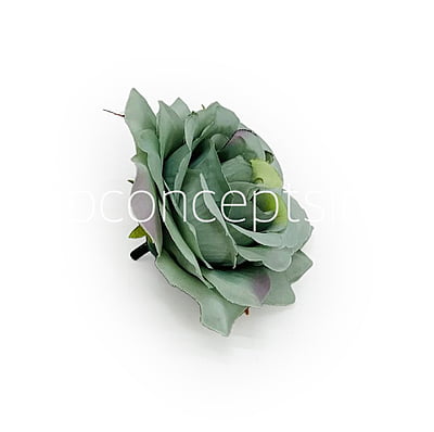 Basil Rose Basil Rose