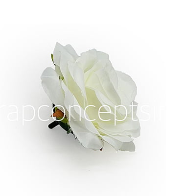 Porcelain Rose
