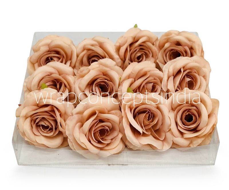 Cantaloupe Rose Cantaloupe Rose