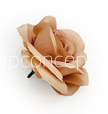 Cantaloupe Rose Cantaloupe Rose