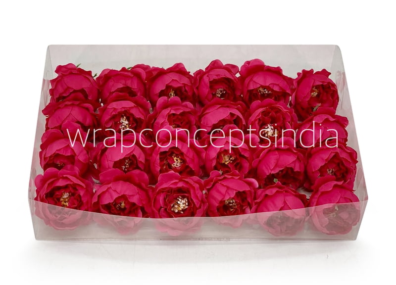 Fuchsia Pink Peonies Fuchsia Pink Peonies