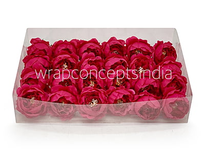 Fuchsia Pink Peonies Fuchsia Pink Peonies