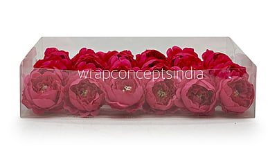 Fuchsia Pink Peonies Fuchsia Pink Peonies